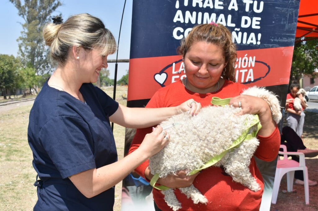 Los puestos municipales de vacunación antirrábica acompañarán los Eco Puntos